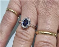 Ring Gilma Gioielleria  Woman in Gold Zaffiro blu 0.52 Ct ANOR-109-286 - ANOR-109-286